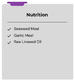 Equine Landing Page Section 4 Nutrition-314